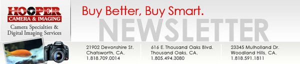 NewHeaderNewsletter 2
